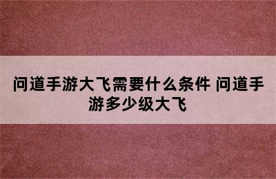 问道手游大飞需要什么条件 问道手游多少级大飞